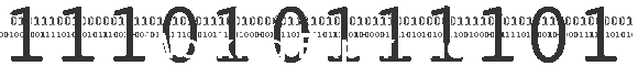 Working Experience